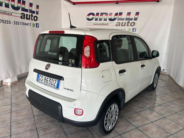 Fiat Panda 1.0 FireFly S&S Hybrid City Life - foto 3 di 4