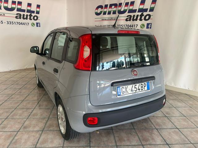Fiat Panda 1.0 FireFly S&S Hybrid - foto 3 di 4