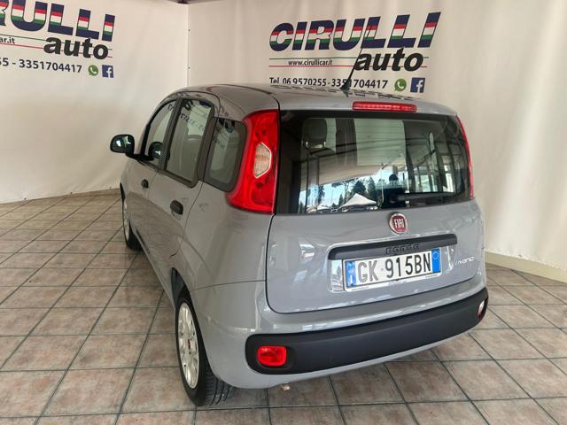 Fiat Panda 1.0 FireFly S&S Hybrid - foto 3 di 4