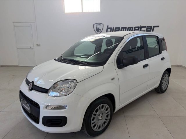 Fiat Panda 1.0 FireFly S&S Hybrid Pandina usato a AUGUSTA