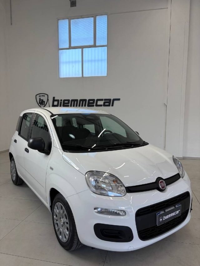 Fiat Panda 1.0 FireFly S&S Hybrid Pandina - foto 2 di 4