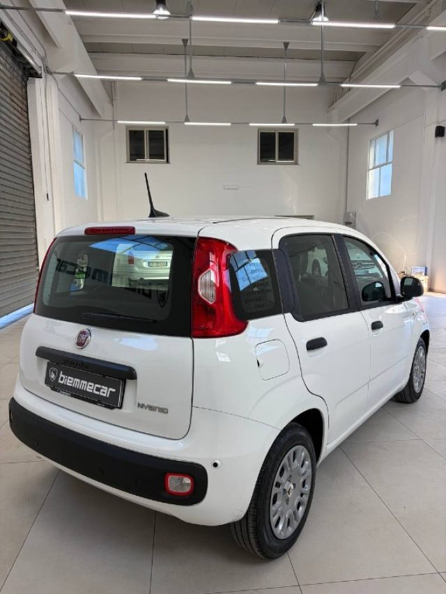 Fiat Panda 1.0 FireFly S&S Hybrid Pandina - foto 3 di 4