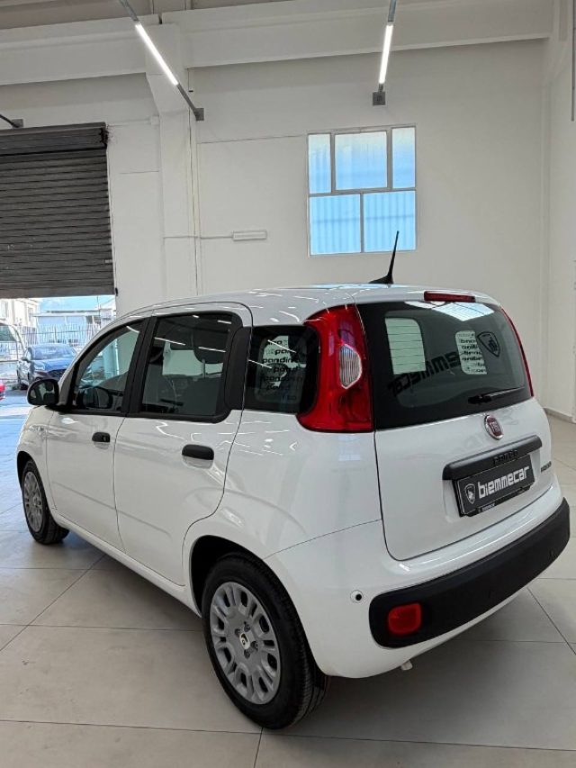 Fiat Panda 1.0 FireFly S&S Hybrid Pandina - foto 4 di 4