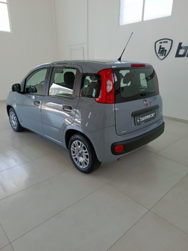 Fiat Panda 1.0 FireFly S&S Hybrid i.e - foto 4 di 4