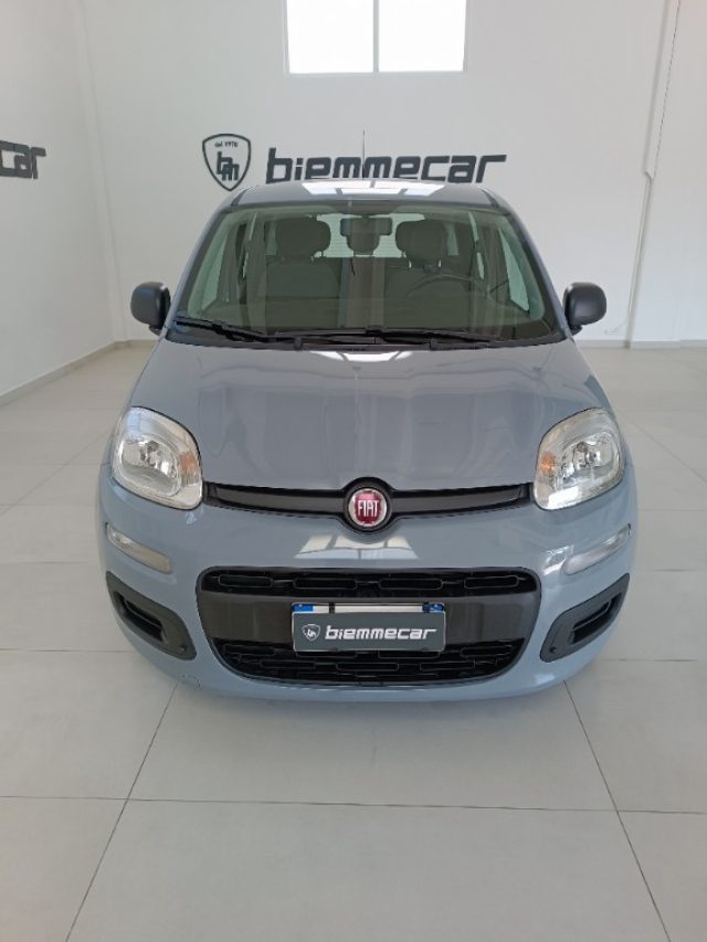 Fiat Panda 1.0 FireFly S&S Hybrid i.e - foto 3 di 4