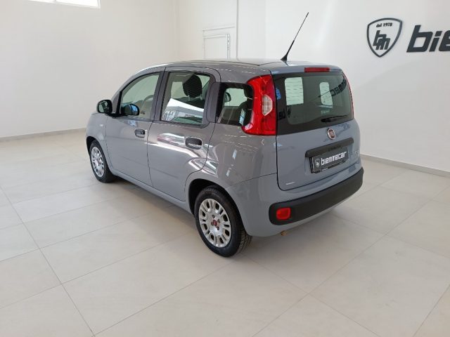 Fiat Panda 1.0 FireFly S&S Hybrid i.e - foto 4 di 4