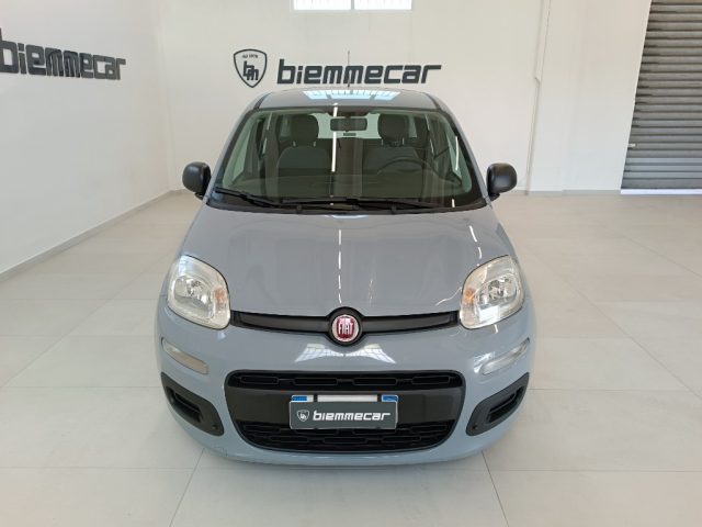 Fiat Panda 1.0 FireFly S&S Hybrid i.e - foto 3 di 4