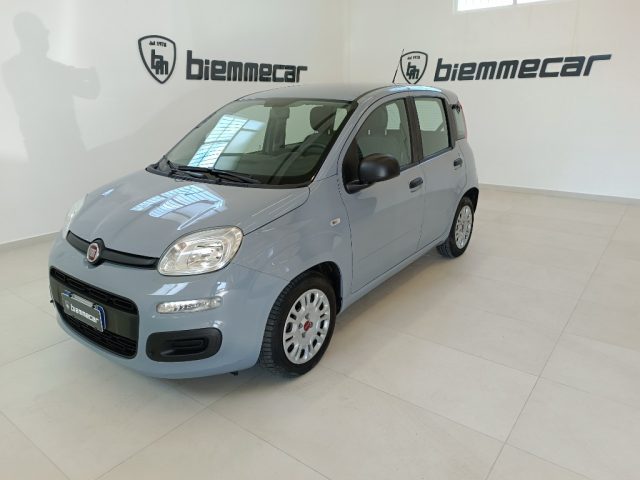 Fiat Panda 1.0 FireFly S&S Hybrid i.e usato a AUGUSTA