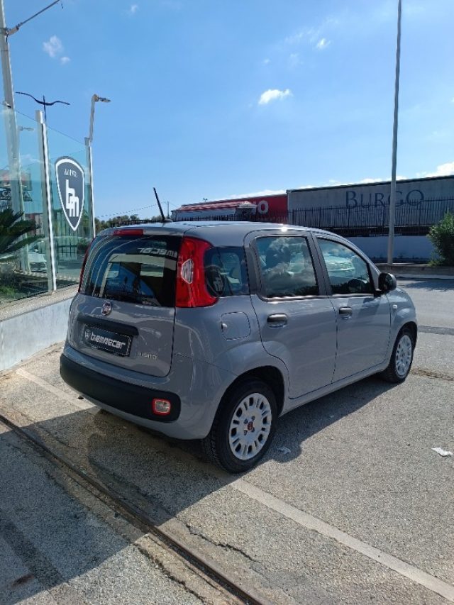 Fiat Panda 1.0 FireFly S&S Hybrid City Life i.e, del 2021, 84.900 km, in vendita a Augusta (SR)