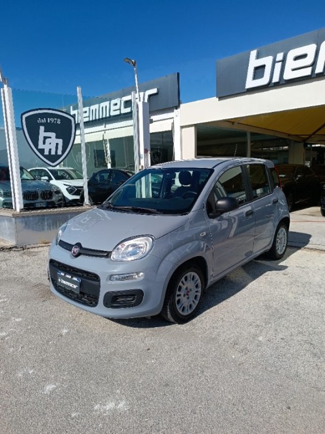 Fiat Panda 1.0 FireFly S&S Hybrid City Life i.e - foto 2 di 4