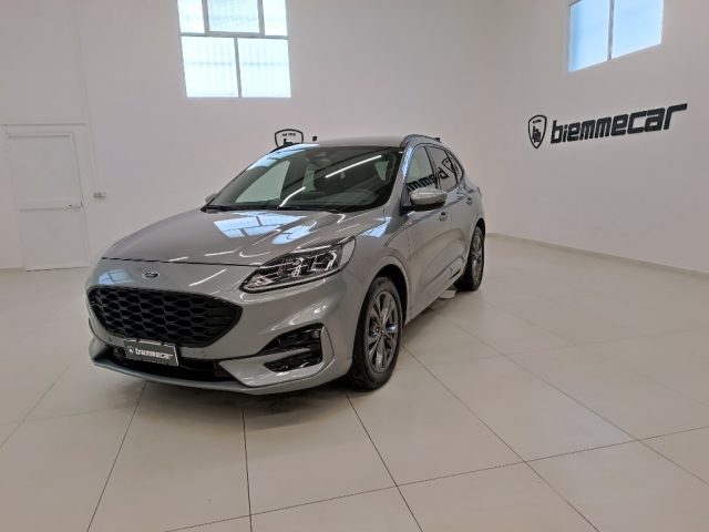 Ford Kuga 2.0 EcoBlue 120 CV aut. 2WD ST-Line i.e usato a AUGUSTA