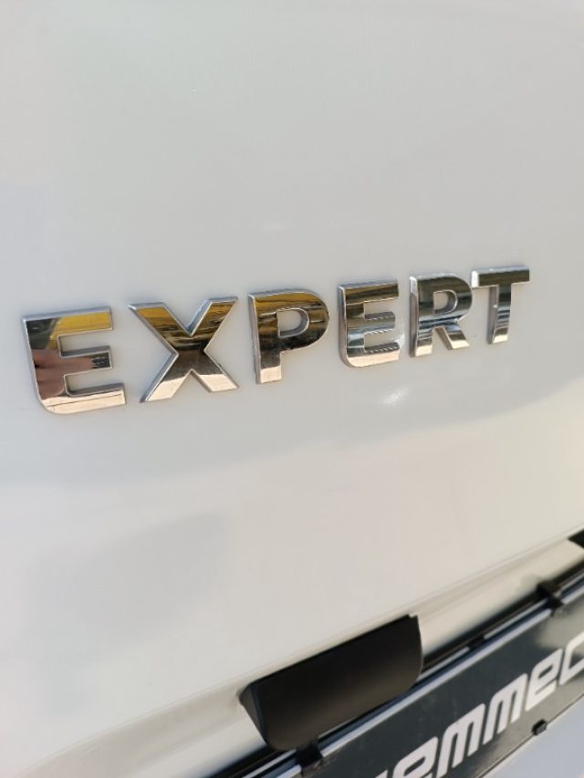 Peugeot Expert BlueHDi 100 S&S PL-TN Furgone Premium Standard i,e usato a AUGUSTA