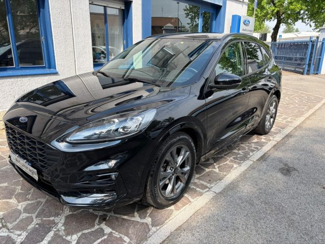 Ford Kuga 2.0 EcoBlue 120 CV aut. 2WD ST-Line X usato a LODI