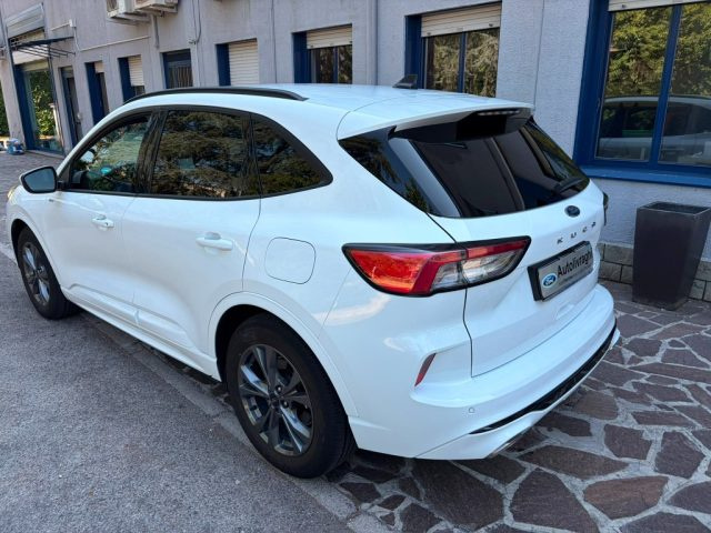 Ford Kuga 2.5 Full Hybrid 190 CV CVT 2WD ST-Line X - foto 4 di 4