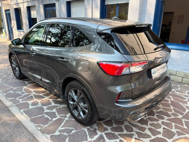 Ford Kuga 1.5 EcoBlue 120 CV aut. 2WD ST-Line X - foto 4 di 4