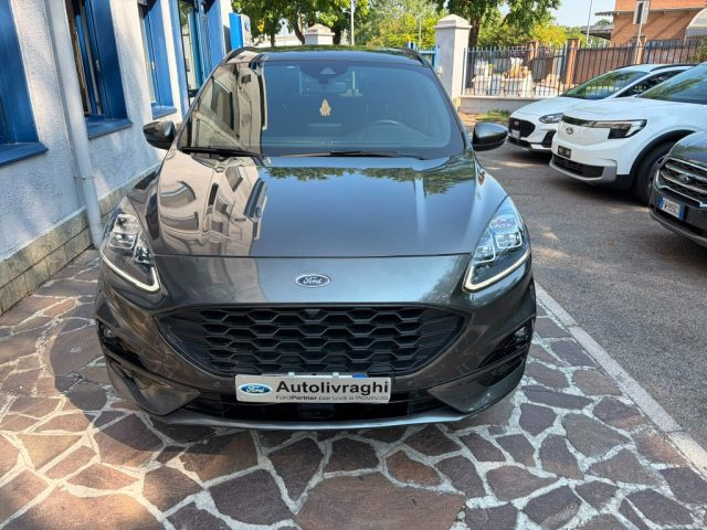 Ford Kuga 1.5 EcoBlue 120 CV aut. 2WD ST-Line X - foto 2 di 4