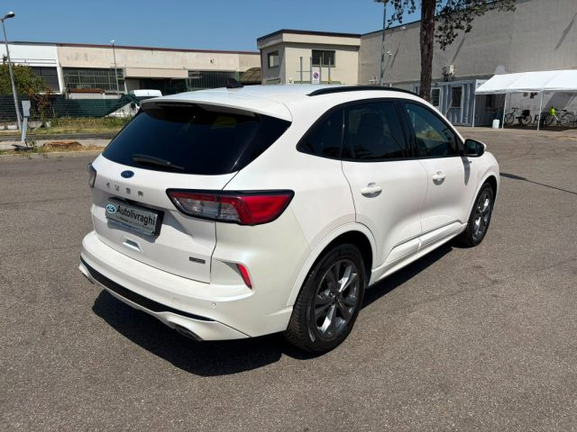 Ford Kuga 2.5 Full Hybrid 190 CV CVT 2WD ST-Line - foto 3 di 4