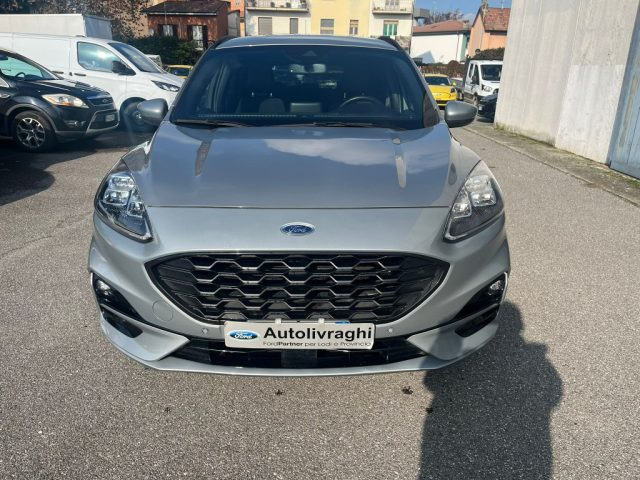 Ford Kuga 2.5 Plug In Hybrid 225 CV CVT 2WD ST-Line X - foto 2 di 14