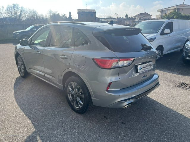 Ford Kuga 2.5 Plug In Hybrid 225 CV CVT 2WD ST-Line X - foto 4 di 14