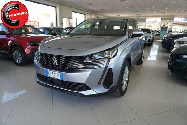 Peugeot 3008 BlueHDi 130 S&S EAT8 Active Business usato a SAN VITO DEI NORMANNI