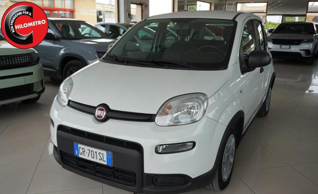 Fiat Panda 1.0 FireFly S&S Hybrid City Life usato a SAN VITO DEI NORMANNI