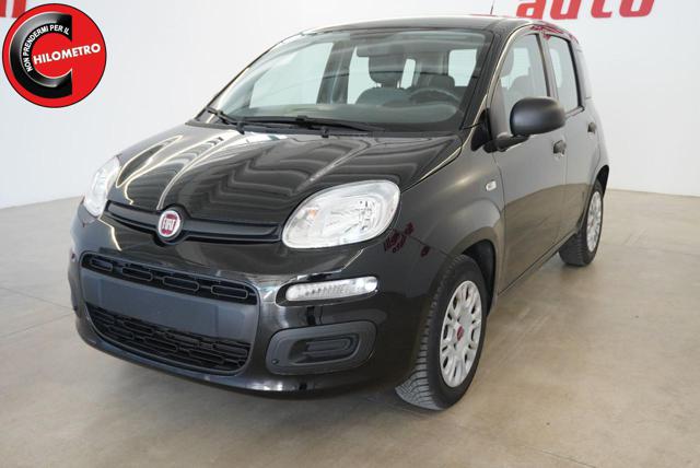 Fiat Panda 1.0 FireFly S&S Hybrid usato a SAN VITO DEI NORMANNI