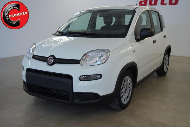 Fiat Panda 1.0 FireFly S&S Hybrid usato a SAN VITO DEI NORMANNI