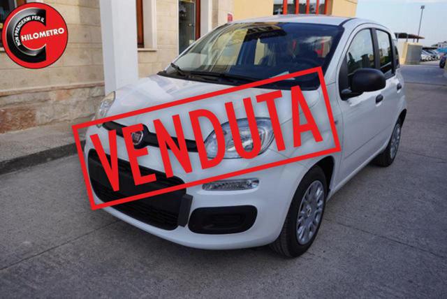 Fiat Pandina ICON km 0 a SAN VITO DEI NORMANNI