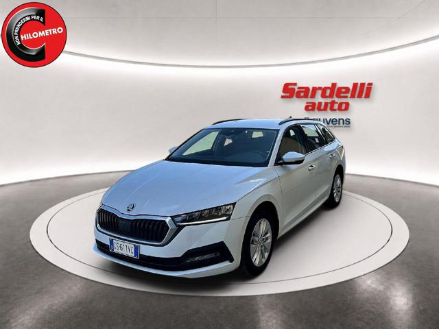Skoda Octavia 2.0 TDI EVO SCR 150 CV DSG Wagon Executive usato a SAN VITO DEI NORMANNI