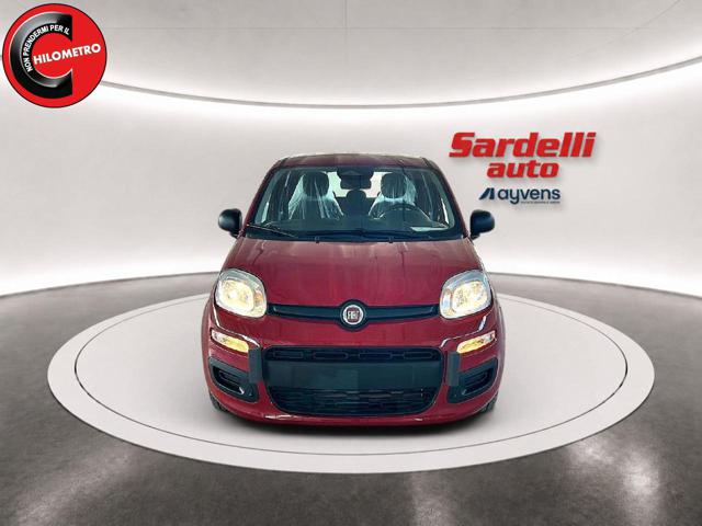 Fiat Pandina 1.0 FireFly 65 CV Hybrid Icon - foto 4 di 4