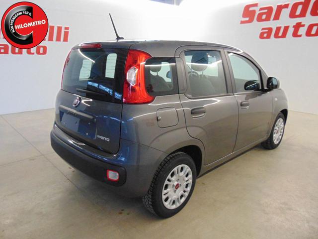 Fiat Panda 1.0 FireFly S&S Hybrid usato a SAN VITO DEI NORMANNI