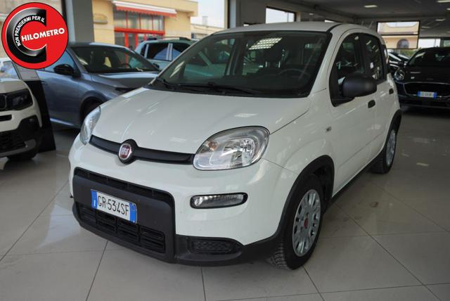 Fiat Panda 1.0 FireFly S&S Hybrid usato a SAN VITO DEI NORMANNI
