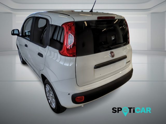 Fiat Panda Pandina Van Pop 1.0 Hybrid 65cv S&S -2 Posti - foto 3 di 4