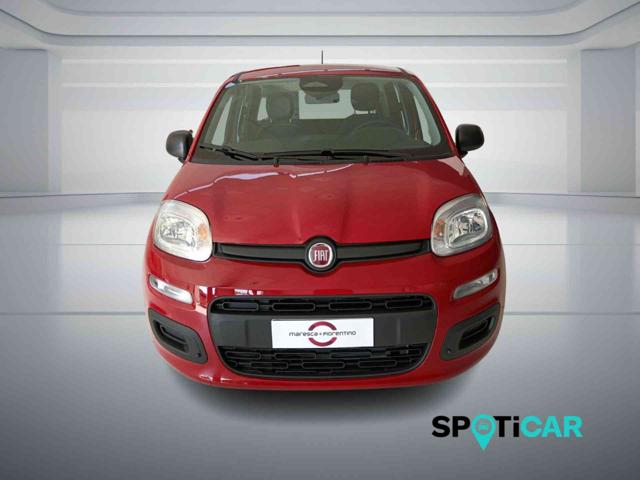 Fiat Panda 1.0 FireFly S&S Hybrid PANDINA ADAS - foto 4 di 4