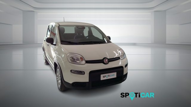 Fiat Panda 1.0 FireFly S&S Hybrid PANDINA ADAS - foto 3 di 4