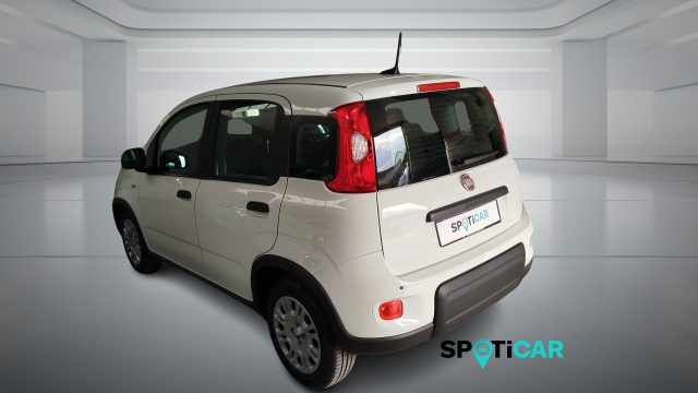 Fiat Panda 1.0 FireFly S&S Hybrid PANDINA ADAS - foto 4 di 4
