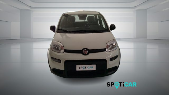 Fiat Panda 1.0 FireFly S&S Hybrid PANDINA ADAS - foto 2 di 4