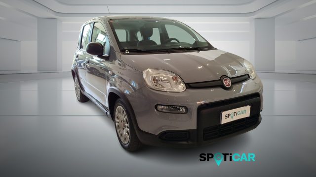 Fiat Panda 1.0 FireFly S&S Hybrid - foto 3 di 4