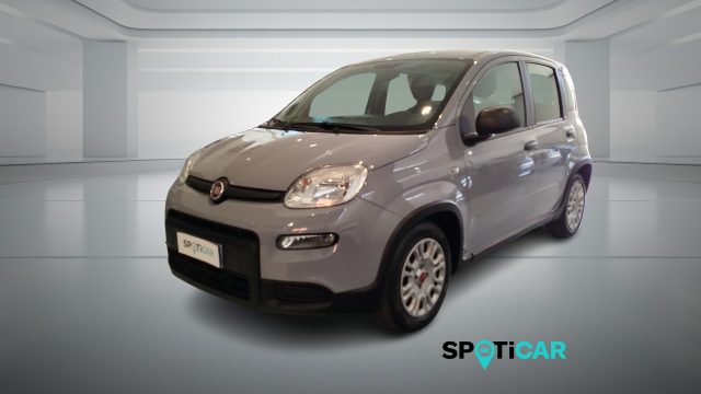 Fiat Panda 1.0 FireFly S&S Hybrid usato a BOLOGNA
