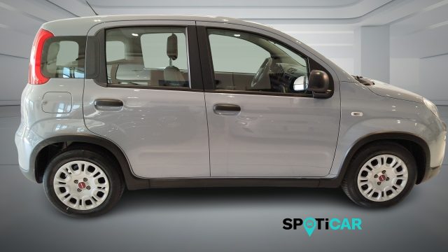 Fiat Panda 1.0 FireFly S&S Hybrid - foto 4 di 4