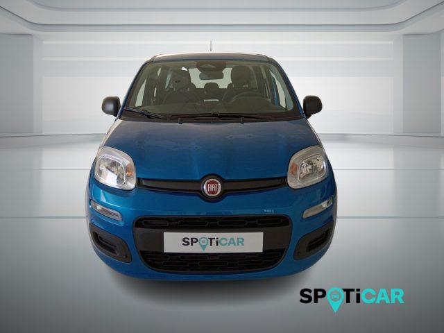 Fiat Panda 1.0 FireFly S&S Hybrid Icon - foto 2 di 4