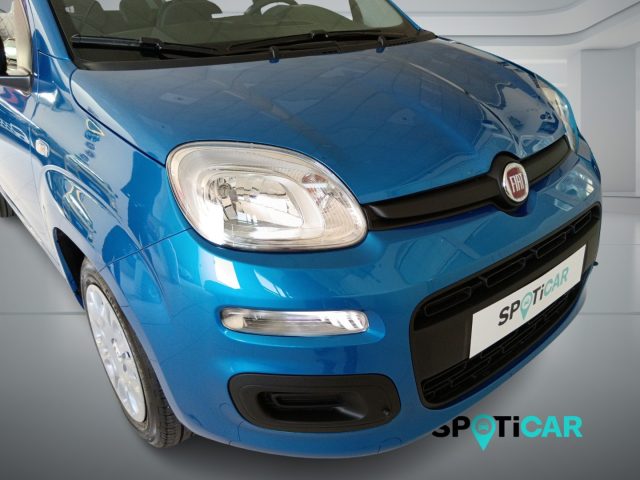 Fiat Panda 1.0 FireFly S&S Hybrid Icon - foto 4 di 4
