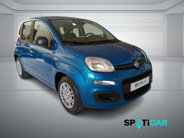 Fiat Panda 1.0 FireFly S&S Hybrid Icon - foto 3 di 4