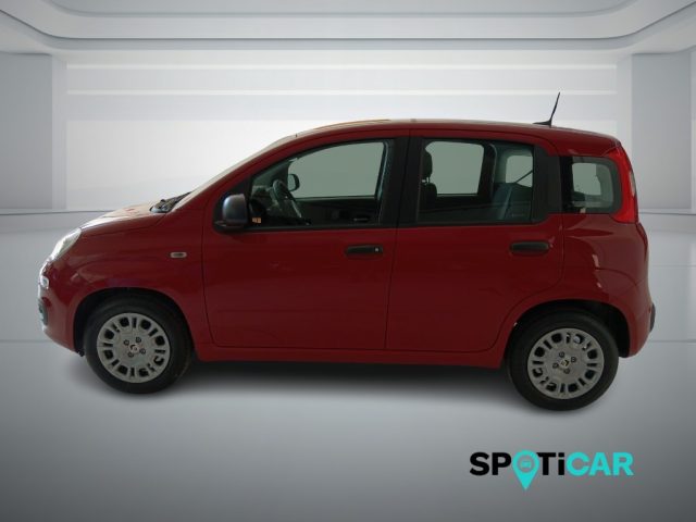 Fiat Panda 1.0 FireFly S&S Hybrid Icon - foto 2 di 4