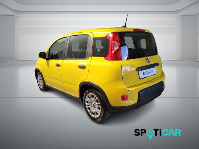 Fiat Panda 1.0 FireFly S&S Hybrid - foto 4 di 4