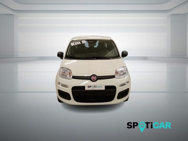 Fiat Panda 1.0 FireFly S&S Hybrid Icon - foto 2 di 4