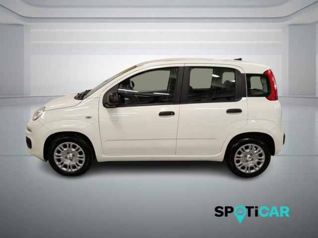 Fiat Panda 1.0 FireFly S&S Hybrid Icon - foto 4 di 4