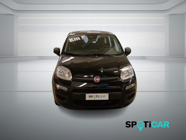 Fiat Panda 1.0 FireFly S&S Hybrid Icon - foto 2 di 4