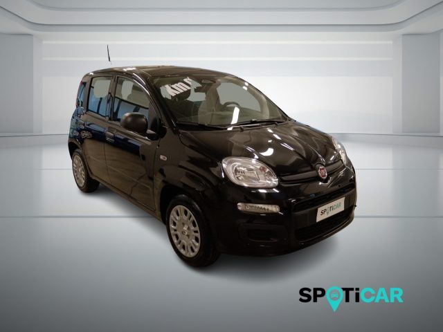 Fiat Panda 1.0 FireFly S&S Hybrid Icon - foto 3 di 4