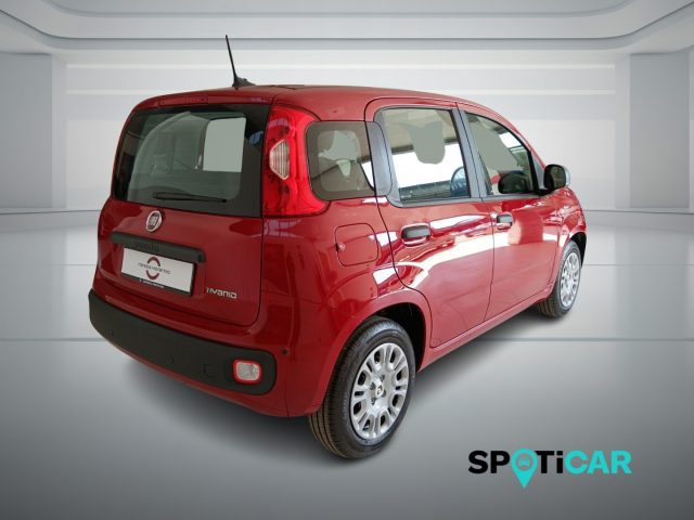 Fiat Panda 1.0 FireFly S&S Hybrid Icon - foto 4 di 4